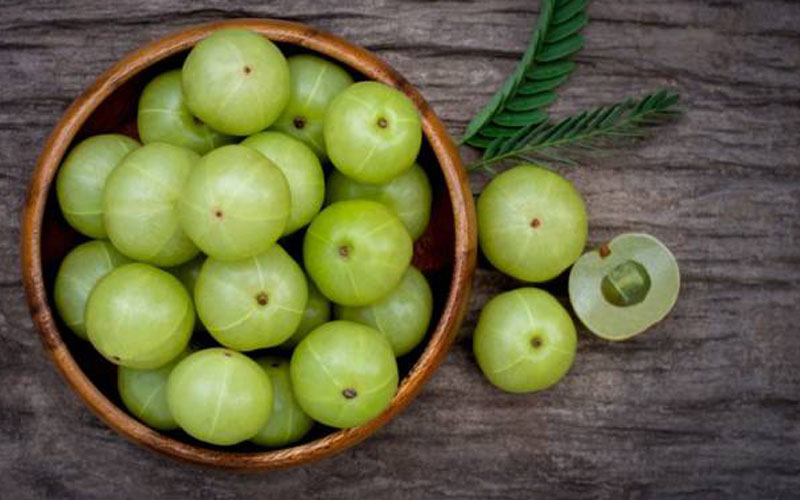 One Amla A Day – Know The Story Of The Sacred Amla Tree